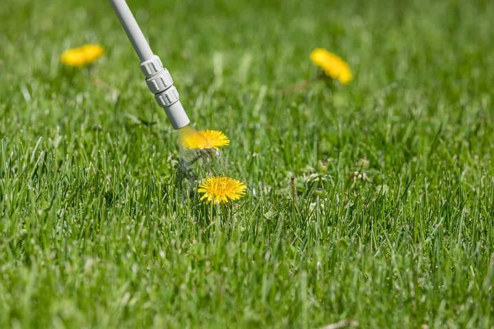 How Much Roundup per Gallon of Water