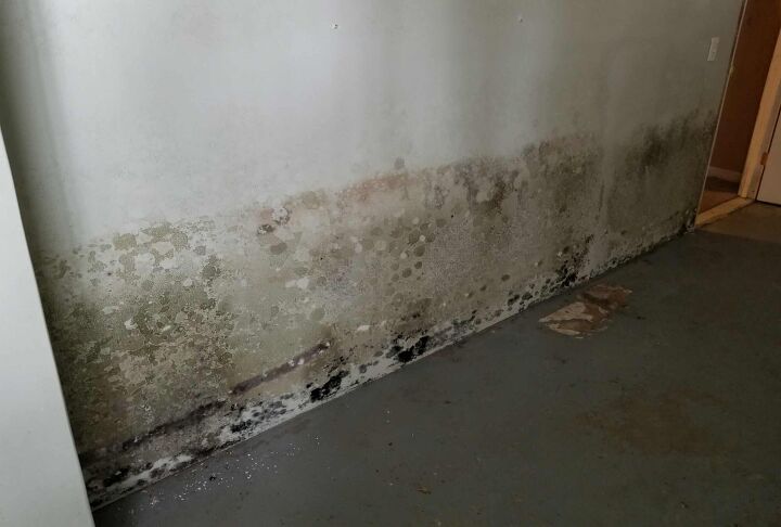 How To Get Rid Of Mold In Your Basement (Quickly & Easily